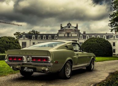 Ford Mustang GT 500KR