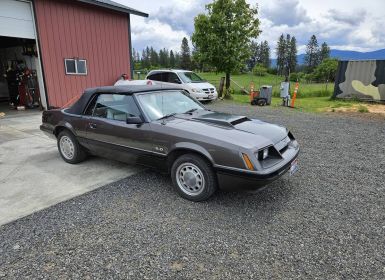 Achat Ford Mustang gt convertible  Occasion