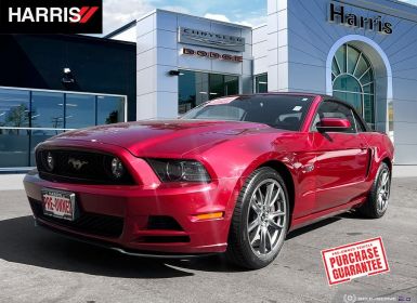 Achat Ford Mustang gt v8 tout compris hors homologation 4500e Occasion