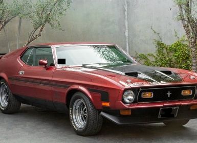 Ford Mustang Mach 1 Occasion