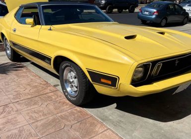 Achat Ford Mustang mach 1  Occasion