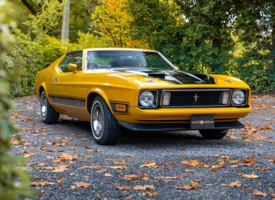 Achat Ford Mustang Mach 1 Occasion