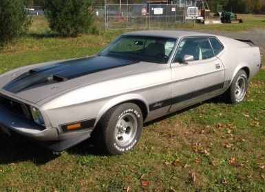 Achat Ford Mustang mach 1  Occasion