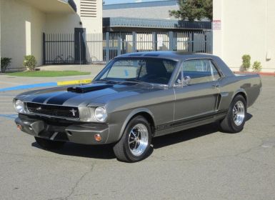 Achat Ford Mustang Shelby Coupe. Shelby GT350 Occasion