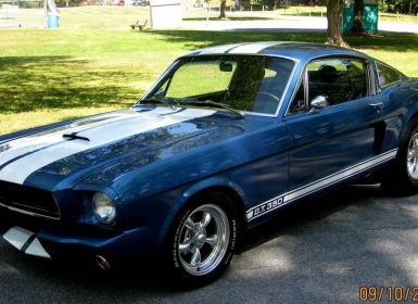 Vente Ford Mustang Shelby fastback  Occasion