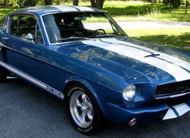 Achat Ford Mustang Shelby fastback  Occasion