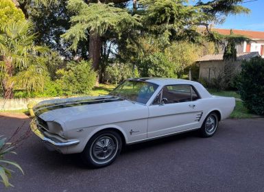 Vente Ford Mustang V8 289ci 1966 Coupe de 1966 Occasion