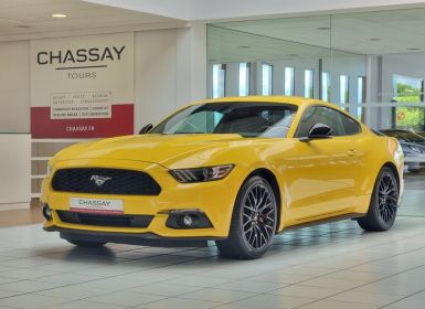 Ford Mustang VI COUPE 2.3 ECOBOOST 317 - BVM - Faible Km Occasion