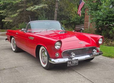 Ford Thunderbird Occasion