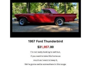 Achat Ford Thunderbird Occasion