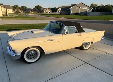 Ford Thunderbird Occasion