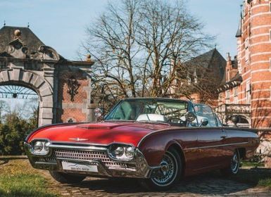 Vente Ford Thunderbird (T-Bird) roadster V8 - CABRIO - LEDER - OLDTIMER Occasion