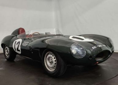 Vente Jaguar D-Type Type D Replica Occasion