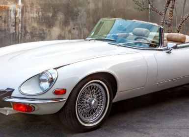 Achat Jaguar E-Type cabriolet matching number Occasion