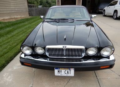 Achat Jaguar XJ Occasion