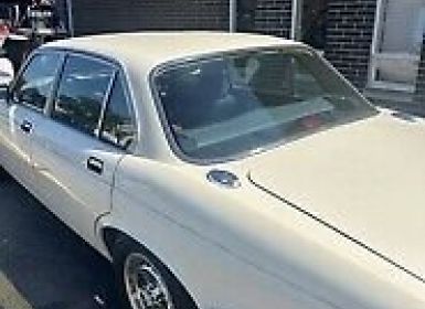 Achat Jaguar XJ6 Occasion