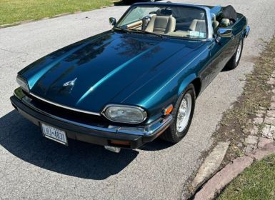 Jaguar XJS Occasion