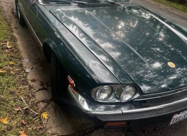 Achat Jaguar XJS Occasion