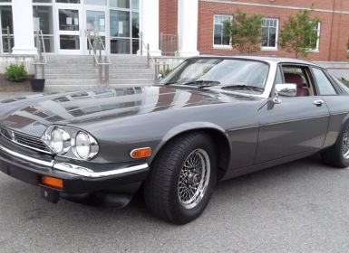 Vente Jaguar XJS Occasion