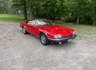 Achat Jaguar XJS classic 1991 convertible SYLC EXPORT Occasion