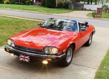 Jaguar XJS conv 