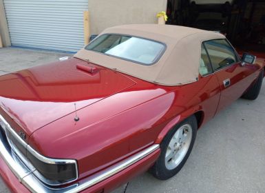 Vente Jaguar XJS convertible  Occasion