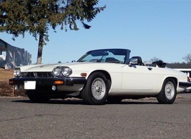 Achat Jaguar XJS Roadster SYLC EXPORT Occasion