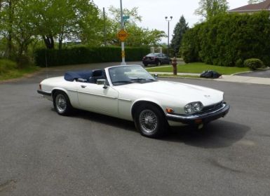 Achat Jaguar XJS SYLC EXPORT Occasion