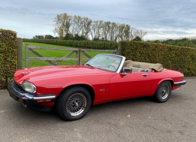 Achat Jaguar XJS V12 Occasion