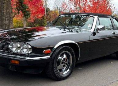 Jaguar XJS V12 Occasion