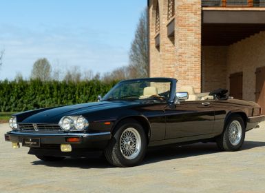 Achat Jaguar XJS V12 CONVERTIBILE Occasion