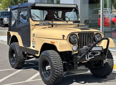 Vente Jeep CJ5 Occasion