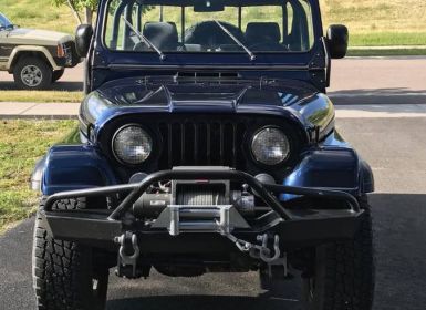 Vente Jeep CJ5 Occasion