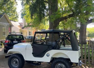 Achat Jeep CJ5 Occasion