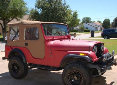 Achat Jeep CJ5 Occasion