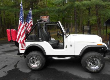 Achat Jeep CJ5 Occasion