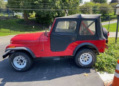 Achat Jeep CJ5 Occasion