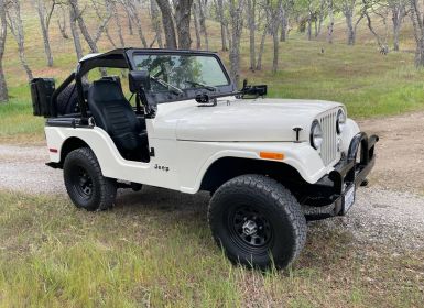 Achat Jeep CJ5 Occasion