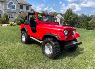 Achat Jeep CJ5 Occasion