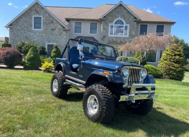 Vente Jeep CJ5 Occasion