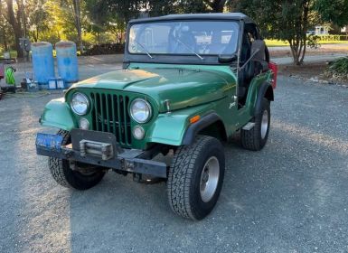 Achat Jeep CJ5 Occasion