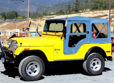 Achat Jeep CJ5 Occasion