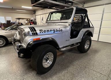 Achat Jeep CJ5 Occasion