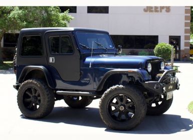 Achat Jeep CJ5 Occasion