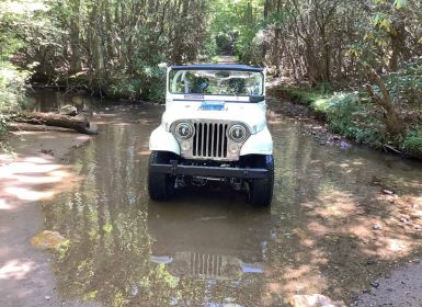 Achat Jeep CJ5 Occasion