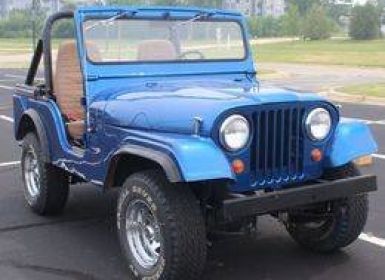 Achat Jeep CJ5 Occasion