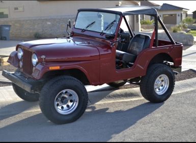 Achat Jeep CJ5 Occasion