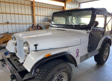 Achat Jeep CJ5 Occasion