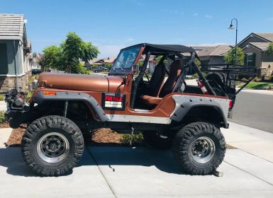 Achat Jeep CJ5 Occasion