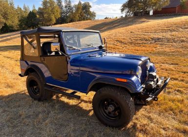 Achat Jeep CJ5 Occasion